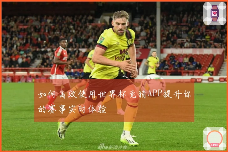 如何高效使用世界杯竞猜APP提升你的赛事实时体验