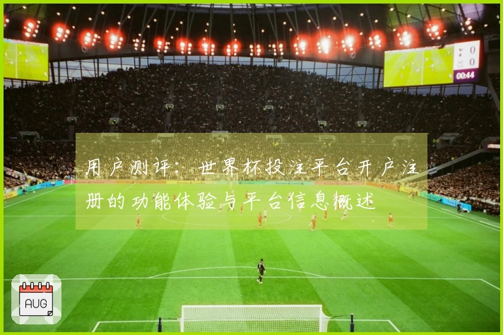 用户测评：世界杯投注平台开户注册的功能体验与平台信息概述