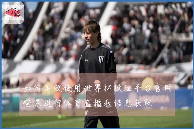 如何高效使用世界杯投注平台官网登录进行体育直播和信息获取