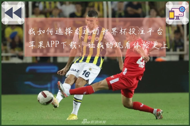 我如何选择合适的世界杯投注平台苹果APP下载，让我的观看体验更上一层楼