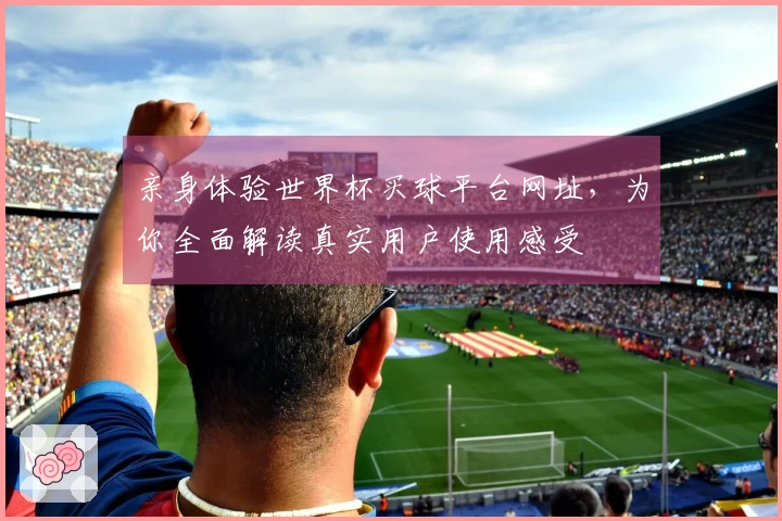 亲身体验世界杯买球平台网址，为你全面解读真实用户使用感受