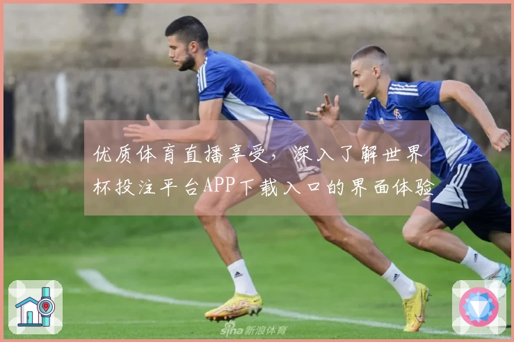优质体育直播享受，深入了解世界杯投注平台APP下载入口的界面体验与功能介绍